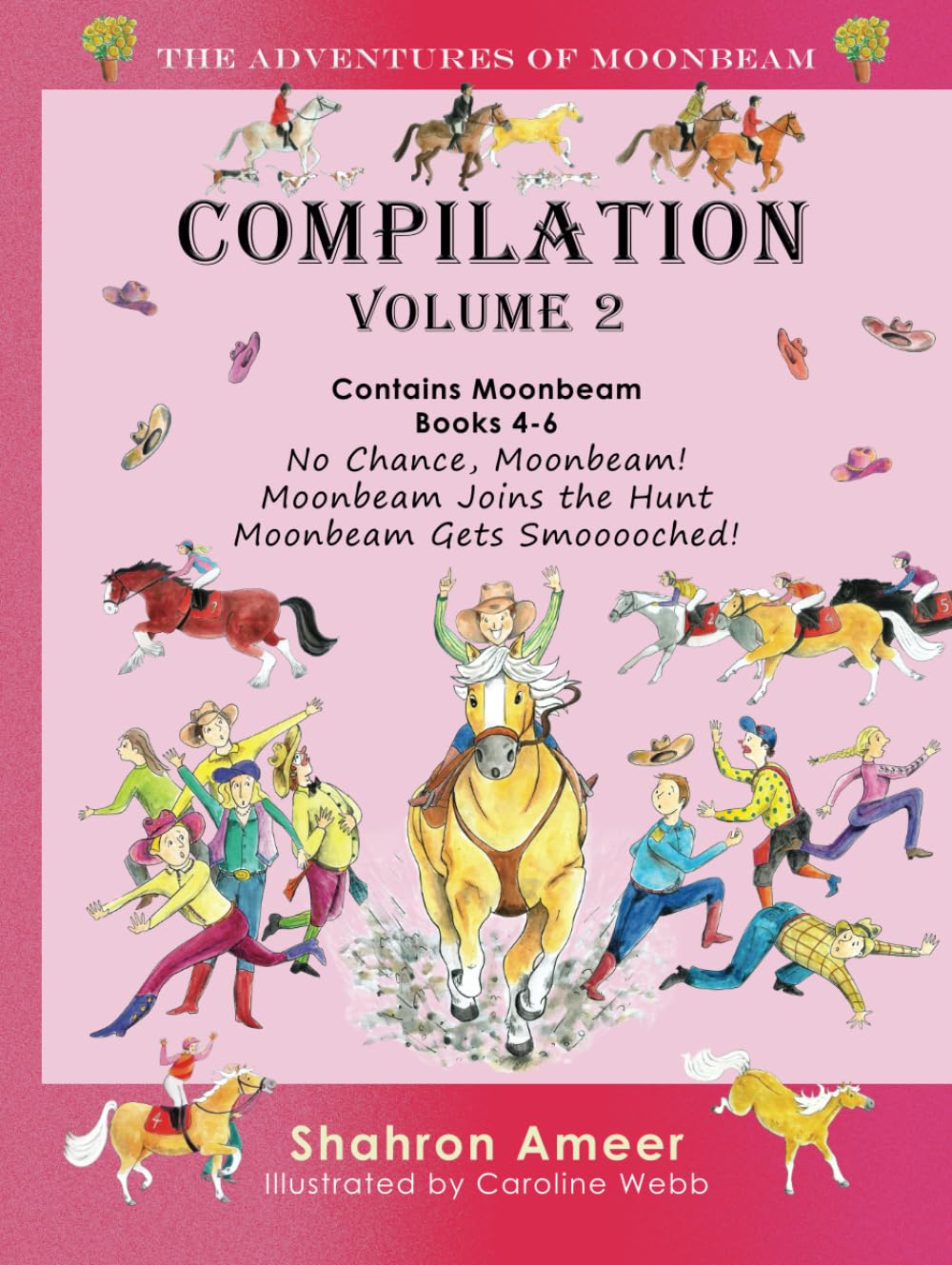 Volume 2: The Adventures of Moonbeam Compilation - NZ Hardcover