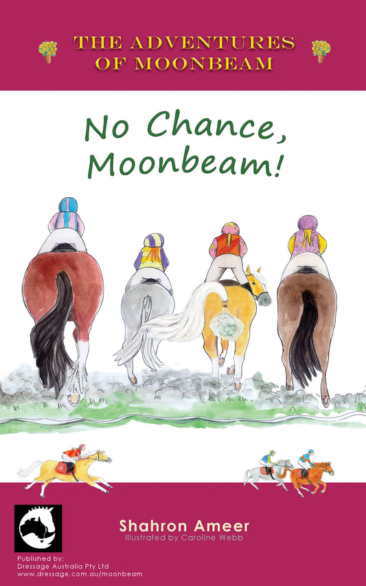 Book 4: No Chance, Moonbeam! - NZ Hardcover